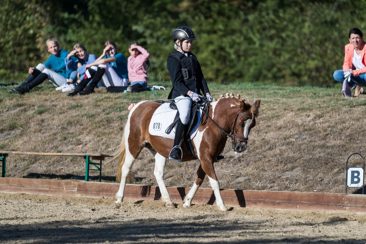 Bild 57 - Pony Akademie Turnier